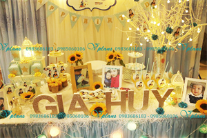 Tổ chức sinh nhật bé Gia Huy